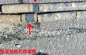 上海体育频道:海盐为美丽村庄注入“新生机”